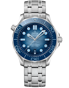 Diver 300m Co Axial Master Chronometer / 42mm