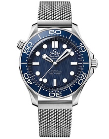 DIVER 300M CO‑AXIAL MASTER CHRONOMETER / 42mm