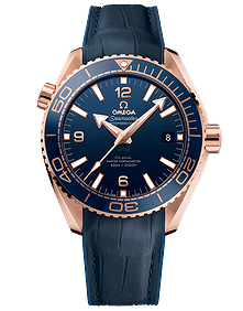 DIVER 600M CO‑AXIAL MASTER CHRONOMETER / 42mm
