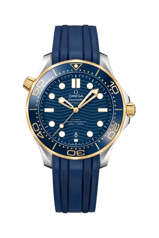 DIVER 300M CO‑AXIAL MASTER CHRONOMETER / 42mm